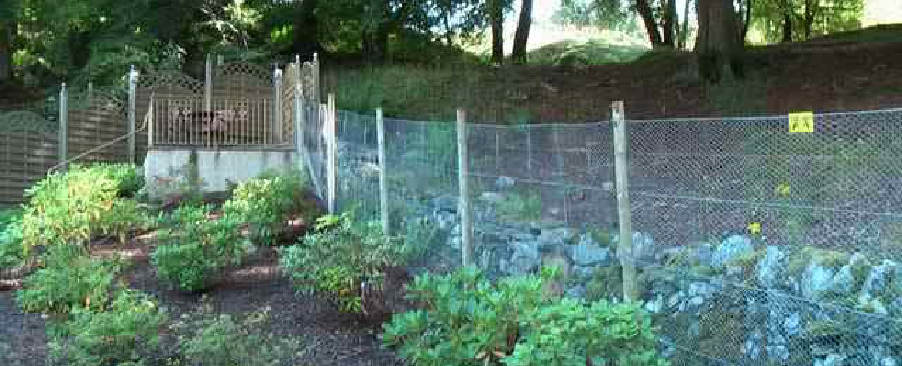Deer fence with rabbit netting Deer fence with rabbit netting