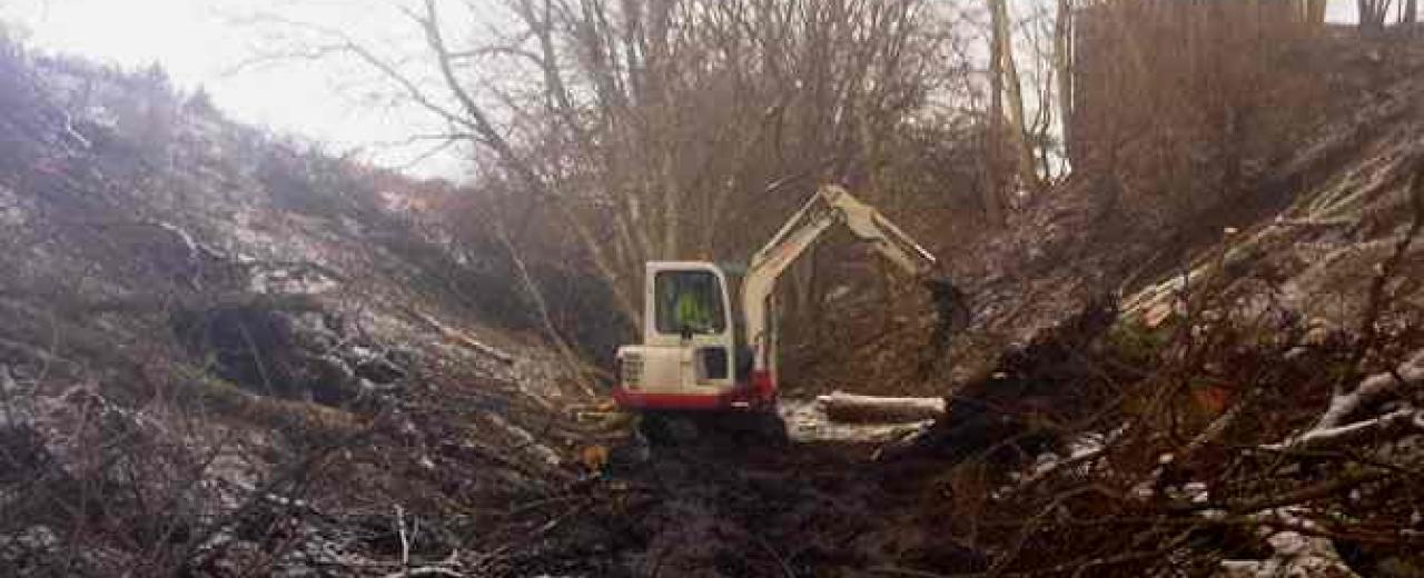Digger in woodland dip in winter Digger in woodland dip in winter